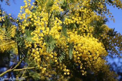 Le village des fleurs