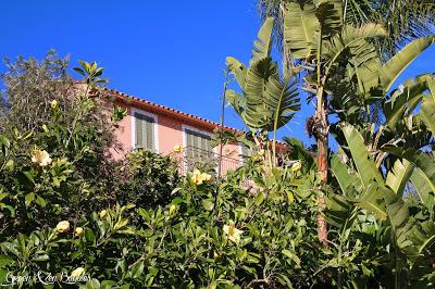 Le village des fleurs