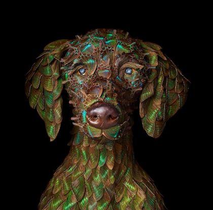 Portraits fruits et légumes de Klaus Enrique