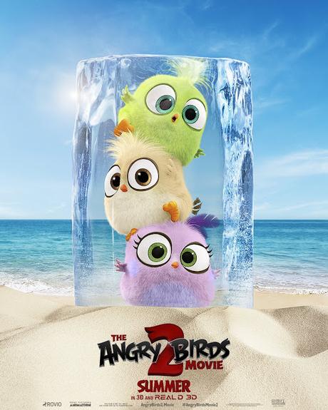 Affiches personnages US pour Angry Birds 2 : Copains comme Cochons Affiches personnages US pour Angry Birds 2 : Copains comme Cochons