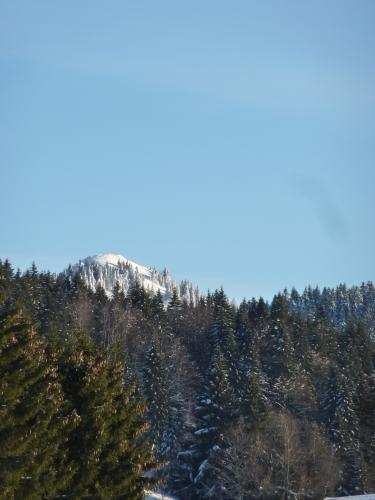 promenade,hiver,montagne,raquettes,marche en raquettes,neige,épicéa,paysage,chatons de noisetier,campagne,saison,lune,super lune,lever de lune,crépuscule,ciel,pente,blog littéraire de christian cottet-emard,image,photo,christian cottet-emard,haut jura,bourgogne franche comté,jura,viry,france,europe,carnet photo