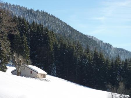 promenade,hiver,montagne,raquettes,marche en raquettes,neige,épicéa,paysage,chatons de noisetier,campagne,saison,lune,super lune,lever de lune,crépuscule,ciel,pente,blog littéraire de christian cottet-emard,image,photo,christian cottet-emard,haut jura,bourgogne franche comté,jura,viry,france,europe,carnet photo