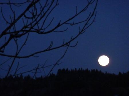 promenade,hiver,montagne,raquettes,marche en raquettes,neige,épicéa,paysage,chatons de noisetier,campagne,saison,lune,super lune,lever de lune,crépuscule,ciel,pente,blog littéraire de christian cottet-emard,image,photo,christian cottet-emard,haut jura,bourgogne franche comté,jura,viry,france,europe,carnet photo