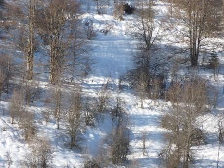 promenade,hiver,montagne,raquettes,marche en raquettes,neige,épicéa,paysage,chatons de noisetier,campagne,saison,lune,super lune,lever de lune,crépuscule,ciel,pente,blog littéraire de christian cottet-emard,image,photo,christian cottet-emard,haut jura,bourgogne franche comté,jura,viry,france,europe,carnet photo