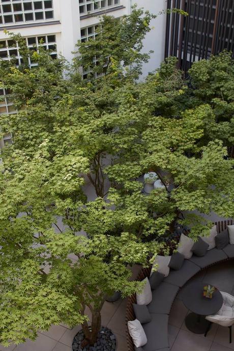 Chiquette Jardin intérieur