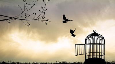 Liberté d'aimer Liberté d'aimer