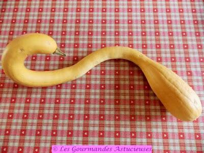 Mille-feuille de courge aux 3 saveurs (Vegan) Mille-feuille de courge aux 3 saveurs (Vegan)