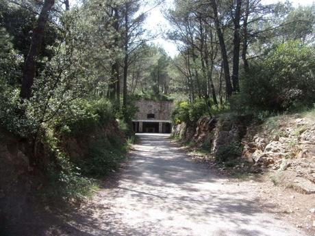 La France - Le Mont Faron - 2