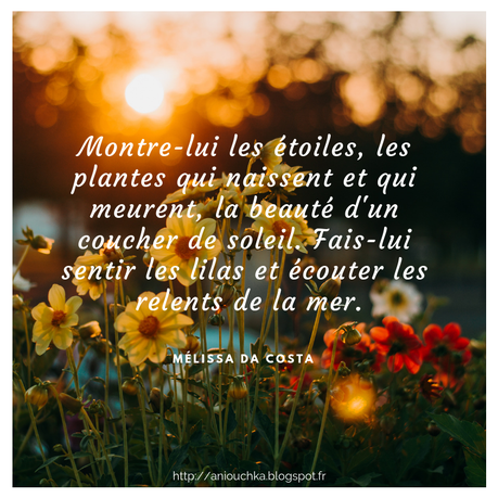 Tout le bleu du ciel de Mélissa Da Costa