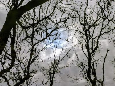 Winter im Nymphenburger Schloßpark - 20 Bilder