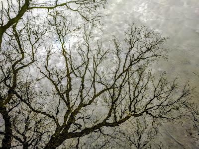 Winter im Nymphenburger Schloßpark - 20 Bilder