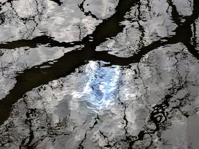 Winter im Nymphenburger Schloßpark - 20 Bilder