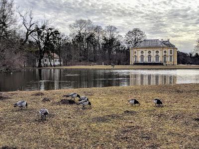 Winter im Nymphenburger Schloßpark - 20 Bilder