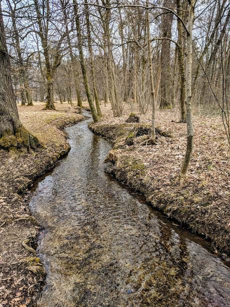 Winter im Nymphenburger Schloßpark - 20 Bilder