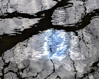 Winter im Nymphenburger Schloßpark - 20 Bilder