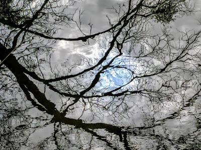 Winter im Nymphenburger Schloßpark - 20 Bilder