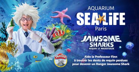 SEA LIFE Paris Val d’Europe accueille 3 nouveaux manchots royaux à découvrir pendant les vacances de février