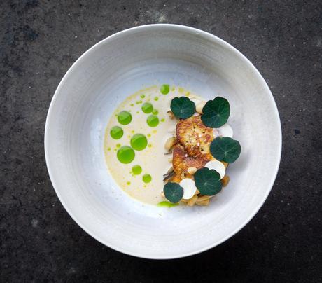 Substance-4 Substance-4