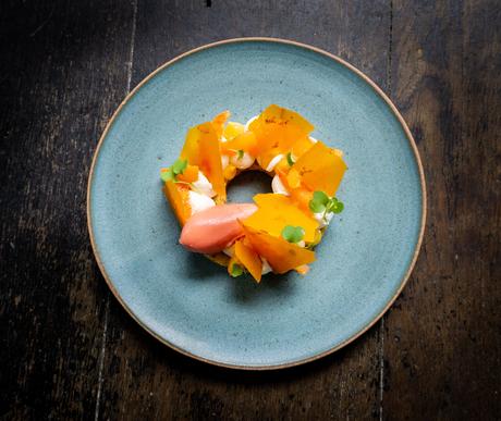 Substance-5 Substance-5