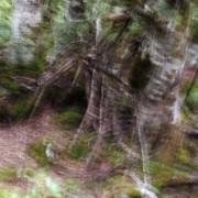 Exposition «À la lueur des saisons» Philippe Cadu | C-Culturel Henri Desbals