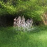 Exposition «À la lueur des saisons» Philippe Cadu | C-Culturel Henri Desbals