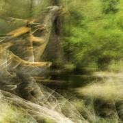 Exposition «À la lueur des saisons» Philippe Cadu | C-Culturel Henri Desbals