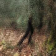 Exposition 2017 « A la lueur des saisons »