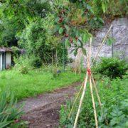 Exposition 2017 « A la lueur des saisons »