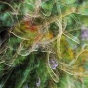 Exposition 2016  « Quatre Saisons » et « A la lueur des saisons »