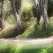 Exposition 2016  « Quatre Saisons » et « A la lueur des saisons »