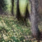 Exposition 2016  « Quatre Saisons » et « A la lueur des saisons »