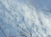 Avant lac, Sophie Braganti