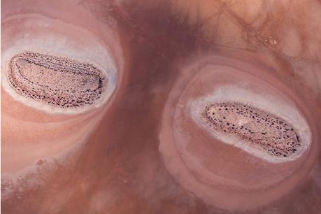 Exposition de superbes photographies à voir à l'ambassade d'Australie, Paris