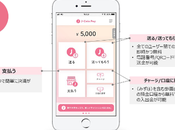 service paiement mobile pour Japon