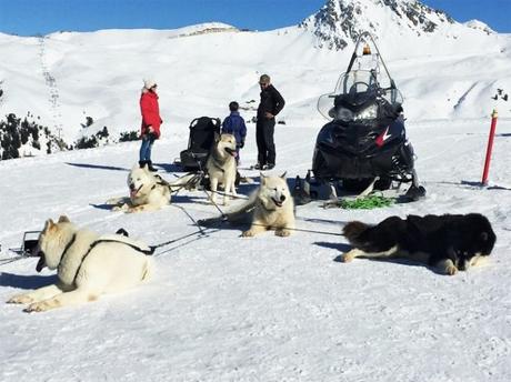 activites-hors-ski-la-plagne-traineau-chien