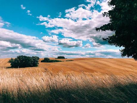 Shot on iPhone : Apple révèle les 10 plus belles photos du concours