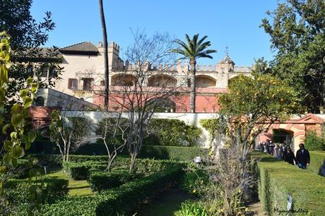 Visiter l’Alcazar à Seville en Andalousie et ses magnifiques jardins