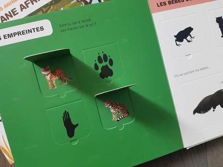 Nouvelle collection Doc Flap : Les animaux de la montagne - Les animaux de la savane africaine - Les animaux de la jungle ♥ ♥ ♥