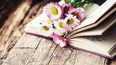 Mon bilan livresque de février 2019