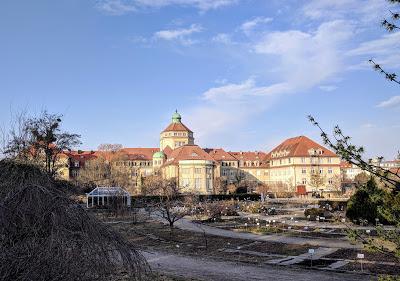 Premières floraisons au jardin botanique de Munich