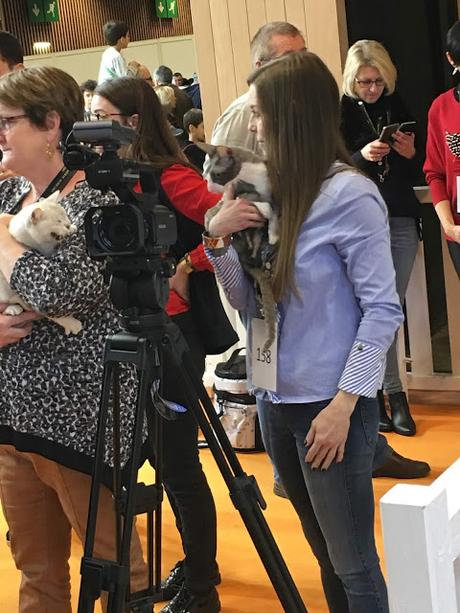 Le salon de l'agriculture 2019 en photos Le salon de l'agriculture 2019 en photos