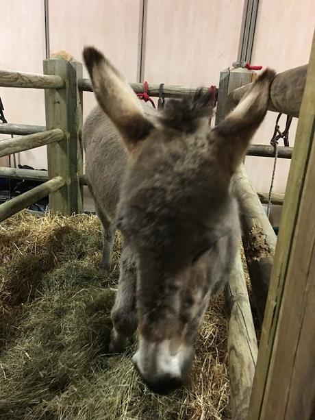 Le salon de l'agriculture 2019 en photos Le salon de l'agriculture 2019 en photos