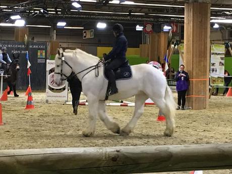 Le salon de l'agriculture 2019 en photos Le salon de l'agriculture 2019 en photos