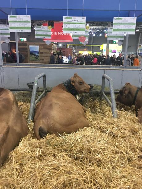 Le salon de l'agriculture 2019 en photos Le salon de l'agriculture 2019 en photos