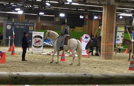 Le salon de l'agriculture 2019 en photos Le salon de l'agriculture 2019 en photos