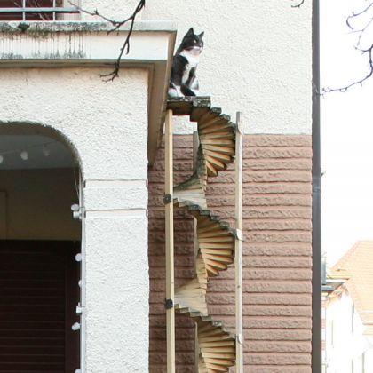 Echelles ou escaliers à chats en Suisse