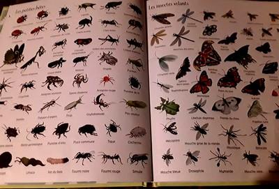 1000 animaux en images.