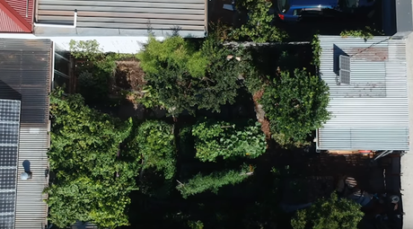 Comment se nourrir en zone urbaine, en cas de rupture d’approvisionnement ? (vidéo)