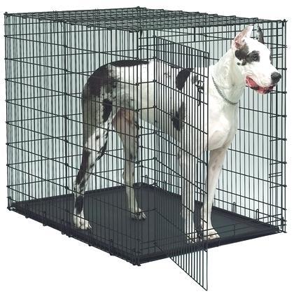 extra large dog kennel extra large dog crate extra large dog kennel melbourne
