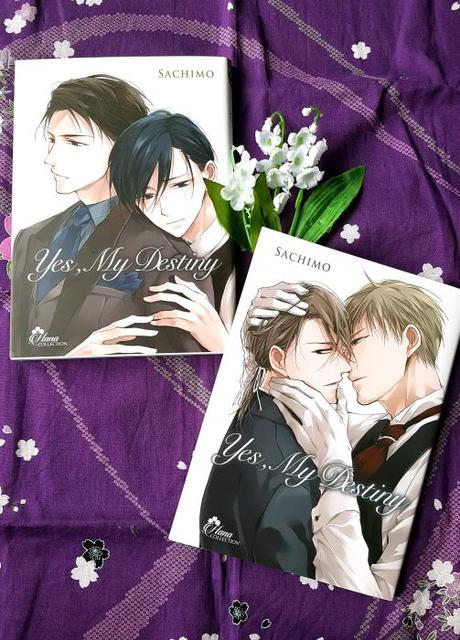 Allons faire un tour dans le monde de l’Omegaverse